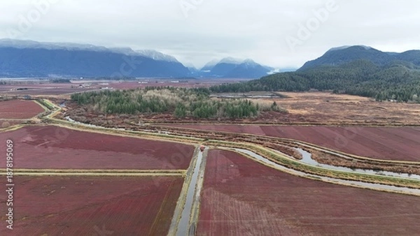 Fototapeta British Columbia Fields