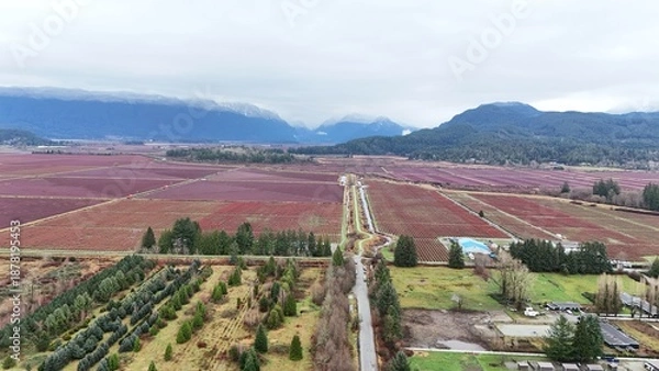 Fototapeta British Columbia Fields