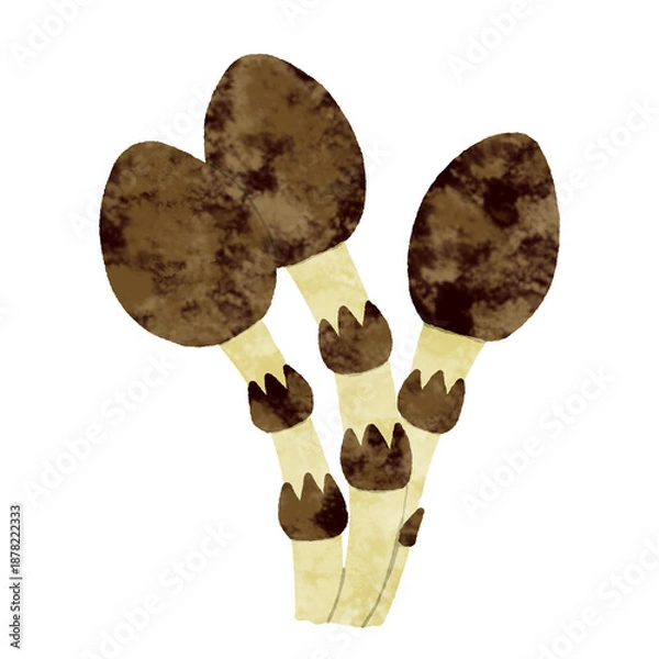 Obraz つくしのアイコン