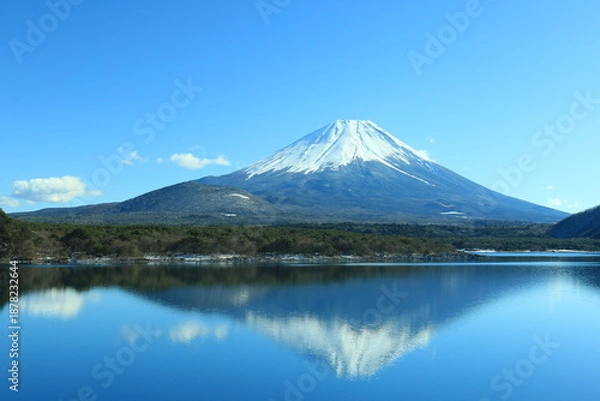 Obraz 本栖湖と富士山