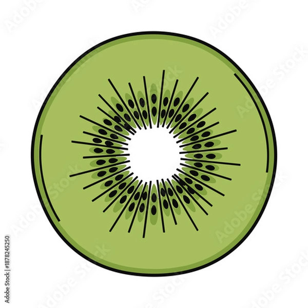Obraz Green Kiwi Fruit Slice Illustration