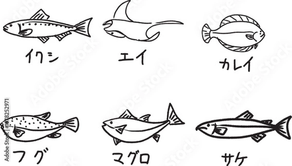 Obraz 可愛いイワシ・エイ・カレイ・フグ・マグロ・サケの落書き・手書き風の魚の線画イラスト素材
