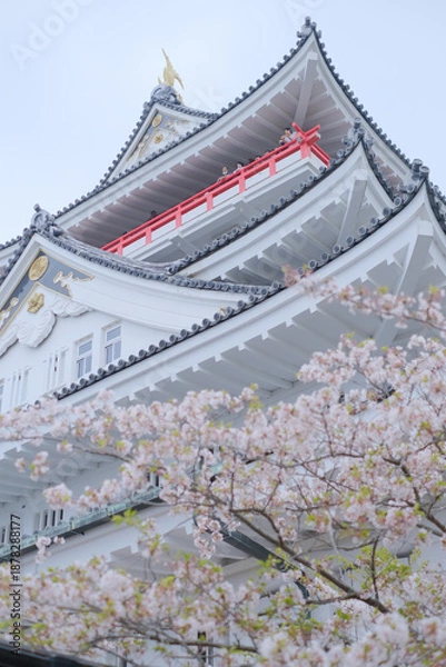 Obraz 満開の桜と熱海城　お城　下から