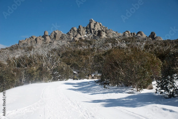 Obraz Mount Buffalo, winter view at the top of the snow mountain