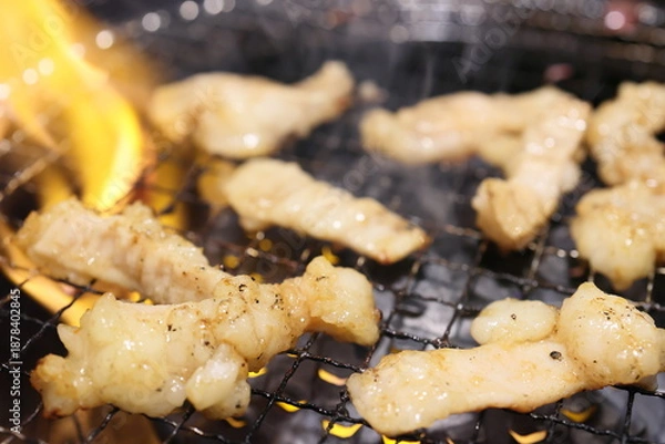 Fototapeta テッチャン（ホルモン）