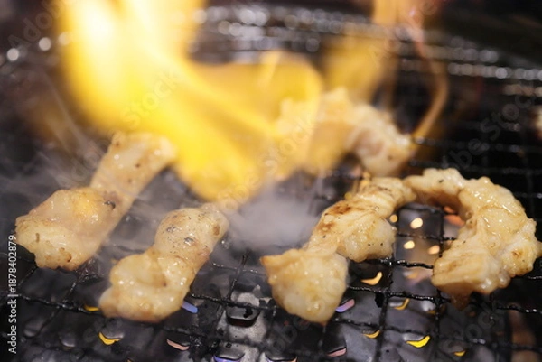 Fototapeta テッチャン（ホルモン）