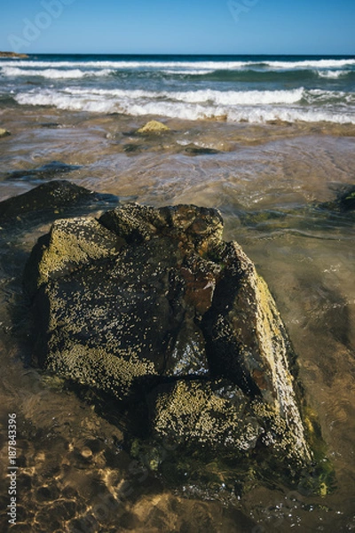 Obraz Sunshine beach at Noosa, Sunshine Coast, Queensland, Australia.