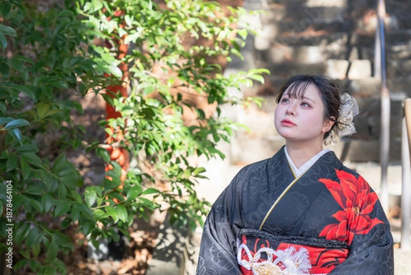 Obraz 神社でお参りする着物姿の女性