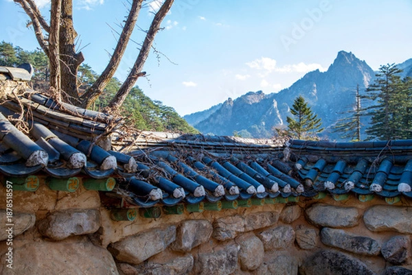 Obraz 설악산 신흥사