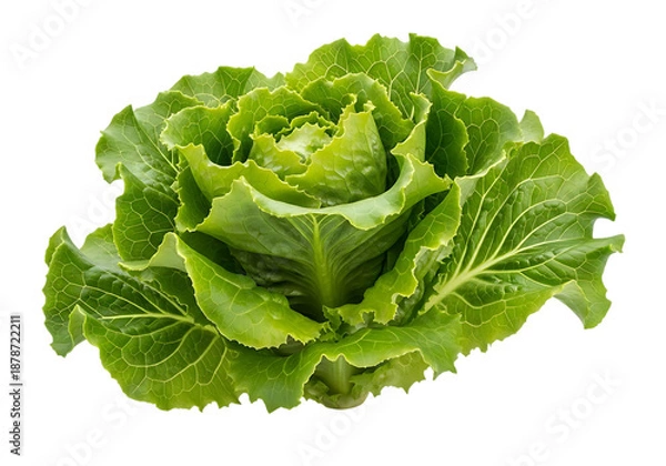 Obraz Fresh lettuce leaf isolated on transparent background