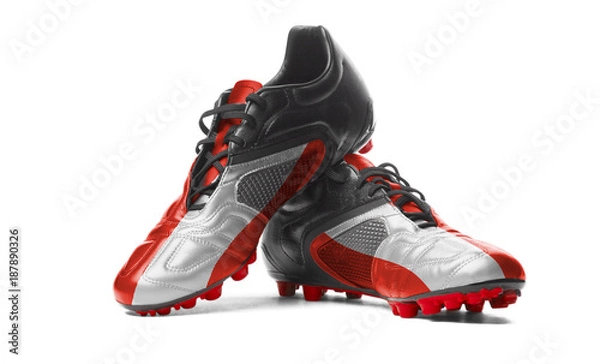 Obraz The Austrian flag