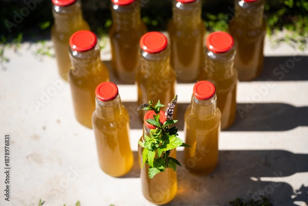 Obraz Peppermint Syrup homemade