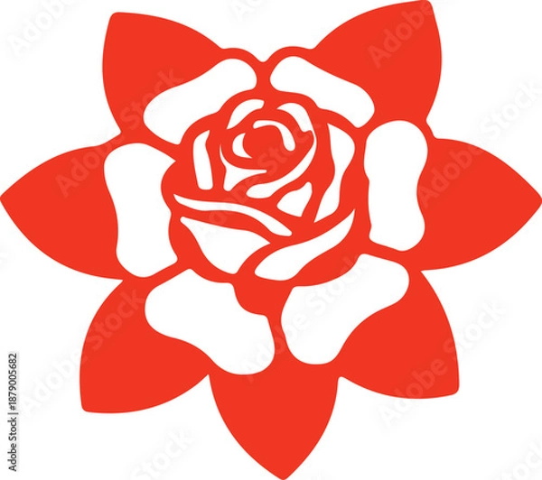 Fototapeta Red rose with white center vector image