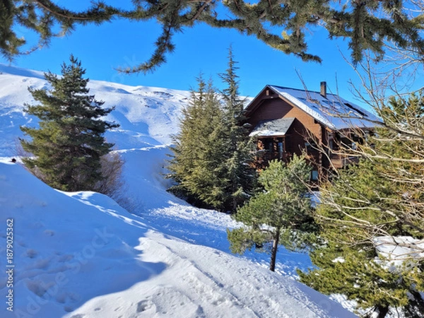 Obraz Cabaña Sierra Nevada