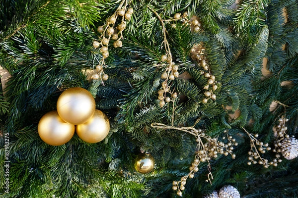 Obraz Christmas or New Year backgrounds.