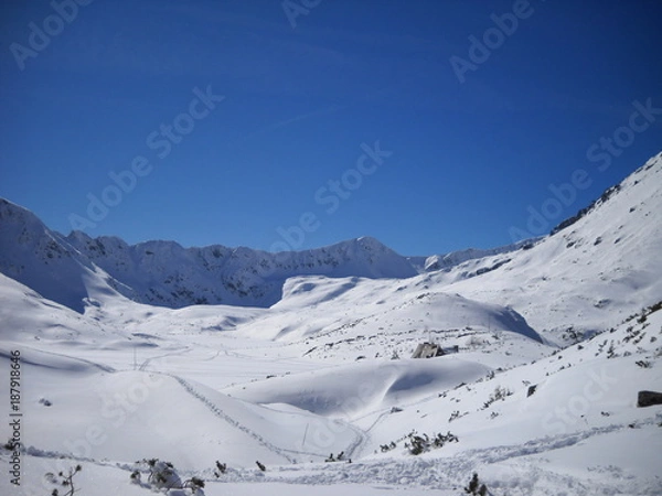 Fototapeta Dolina pod śniegiem