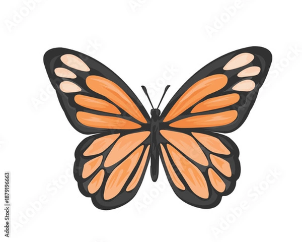 Obraz butterfly isolated on white