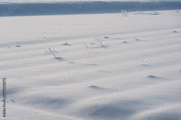 Obraz 雪に覆われた畑