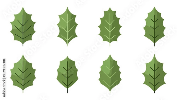 Obraz Green Holly Leaves Pattern Set