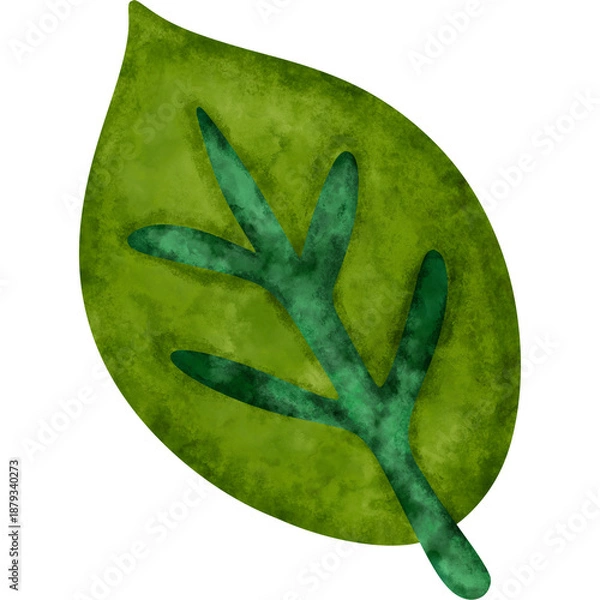 Fototapeta fresh green leaf