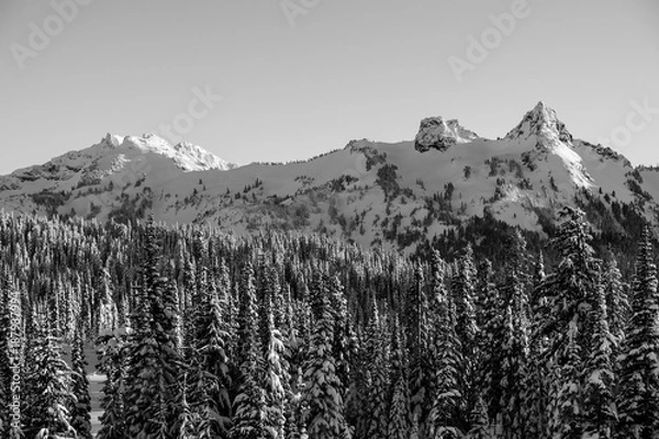 Obraz Snow Covered Tatoosh Range, Paradise, Mount Rainier, Washington, 2017