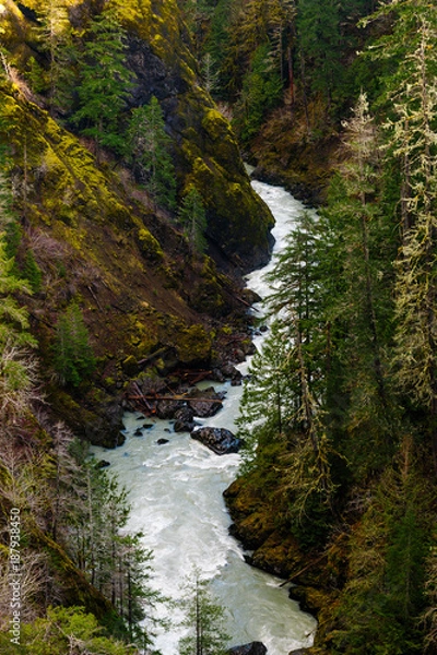 Obraz Downstream, South Fork Skokomish River, Washington, 2017