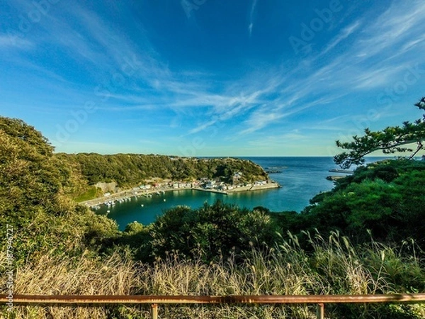 Obraz 【日本の風景】伊豆大島