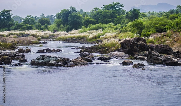Obraz River and rocks
