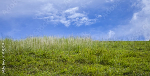 Obraz Mothernature at my Desktop