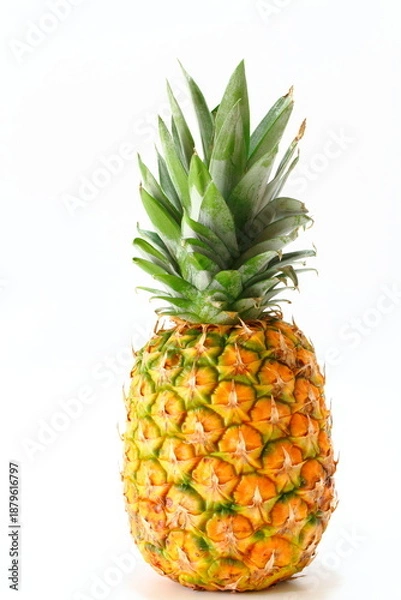 Obraz パイナップル