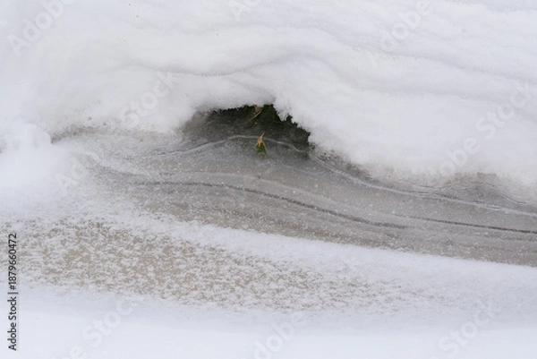 Obraz 北海道　真冬の原生林