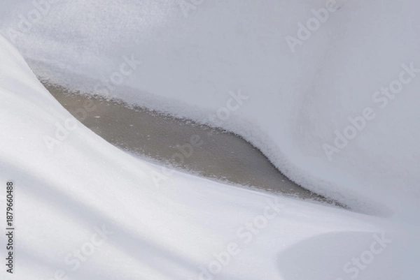 Obraz 北海道　真冬の原生林