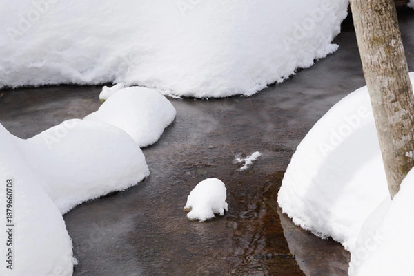 Obraz 北海道　真冬の原生林