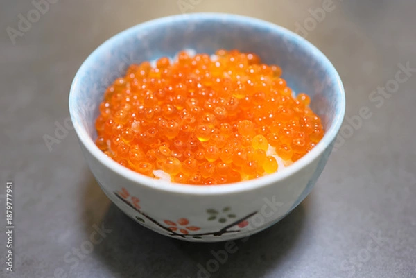 Obraz 新鮮イクラ丼