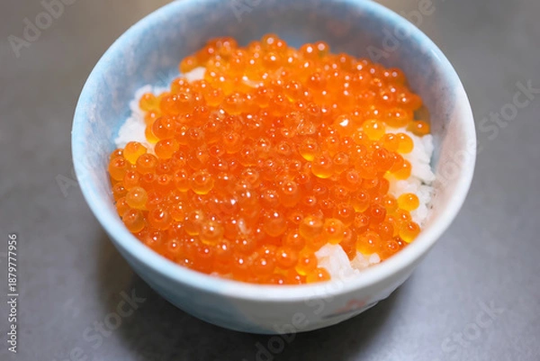 Obraz 新鮮イクラ丼