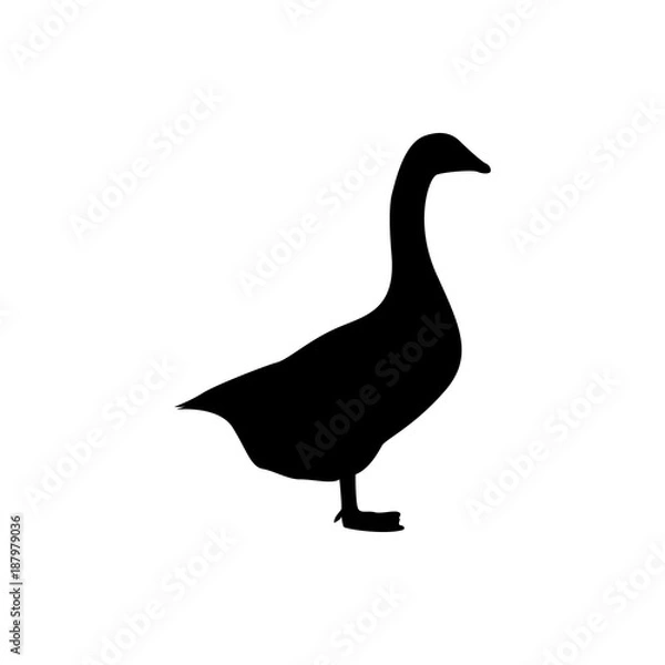 Obraz goose vector silhouette