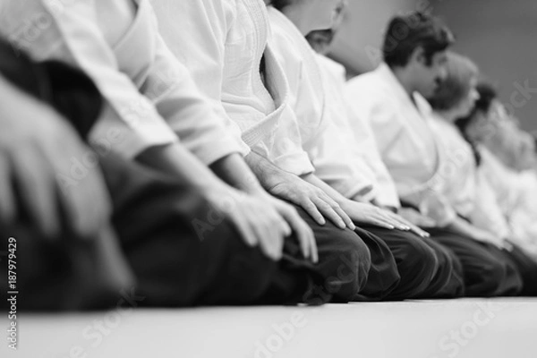 Fototapeta Sensei students sitting in a row on the mat at a seminar on aikido