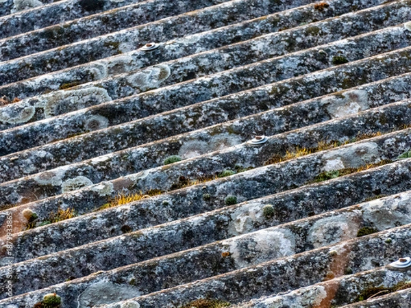 Obraz Bemoostes und feuchtes Dach einer Hütte