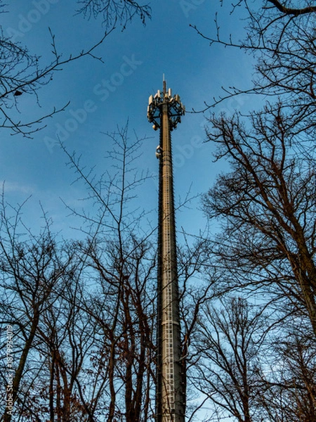Obraz Funk und Sendemast im Wald