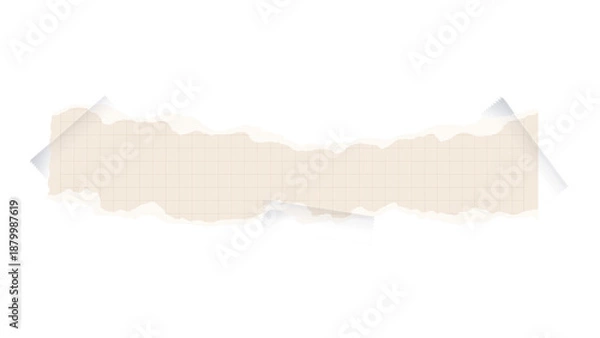 Obraz Torn paper collection