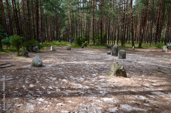 Fototapeta Tumuli in Wesiory (the ancient graveyard of Goths and Gepids)
