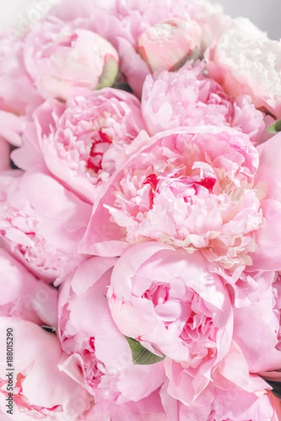 Fototapeta Elegant bouquet of a lot of peonies of pink color close up. Beautiful flower for any holiday. Lots of pretty and romantic flowers in floral shop.