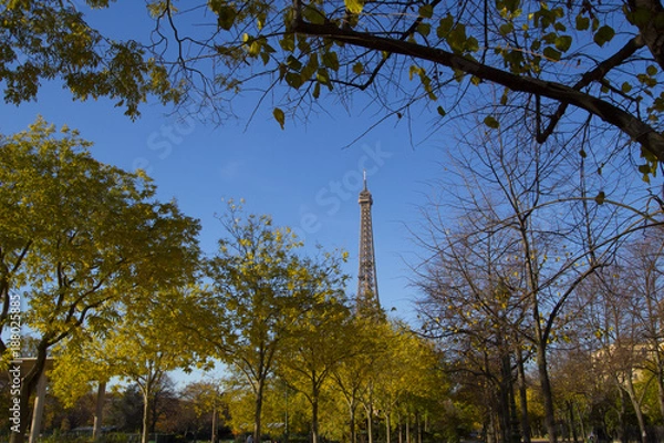 Fototapeta Eiffel Tower in Paris in Autumn