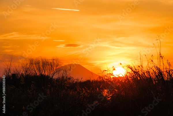 Fototapeta 富士山と夕日