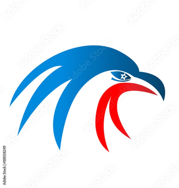 Obraz American usa eagle pride, vector icon