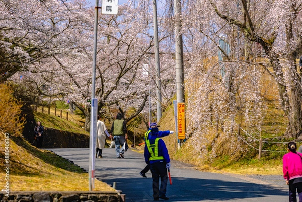 Fototapeta 西山公園（西山荘近辺）