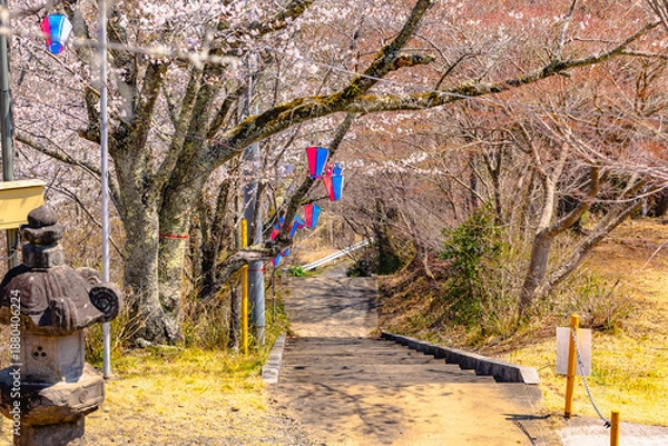 Fototapeta 西山公園（西山荘近辺）
