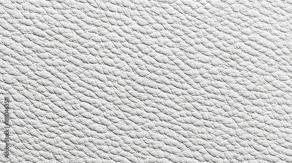 Obraz White Leather Texture Close Up Macro Detail background