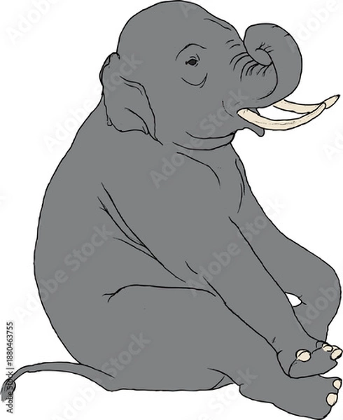 Fototapeta elephant vector illustration