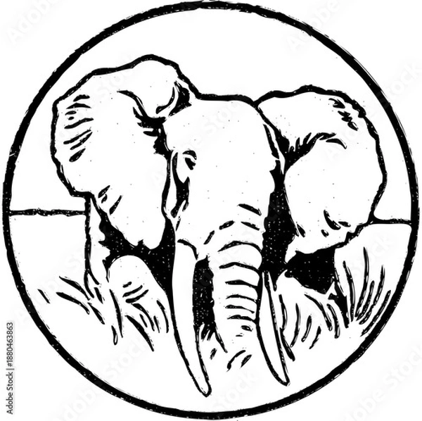 Fototapeta elephant vector illustration